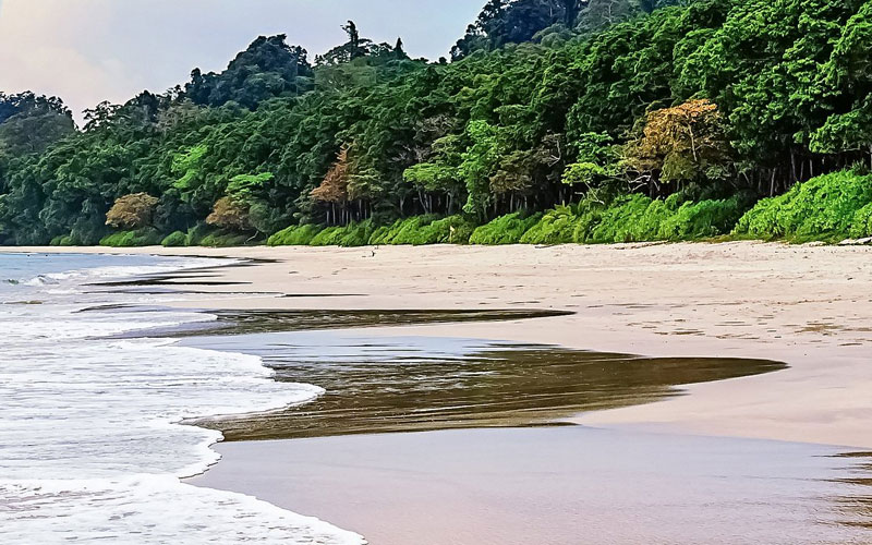 Havelock Island