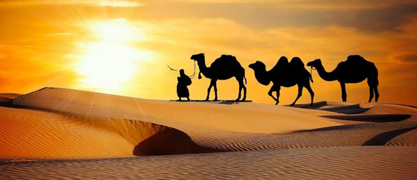 Rajasthan Heritage Tours