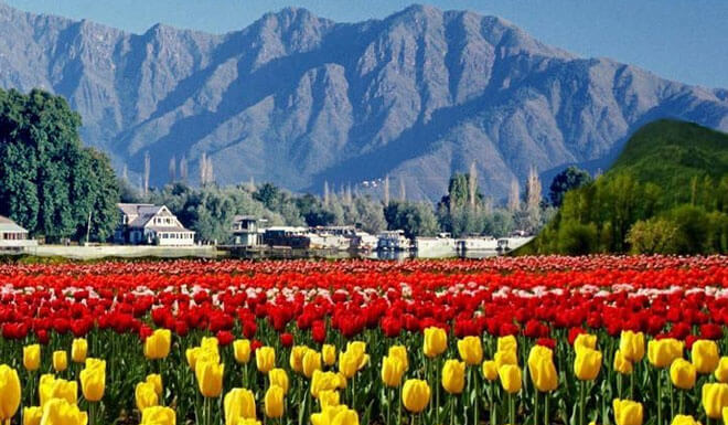 Kashmir