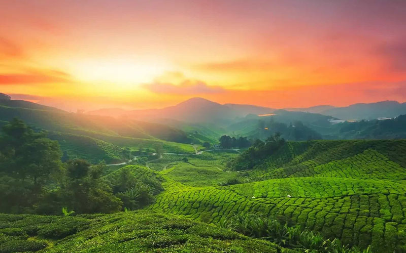 Munnar