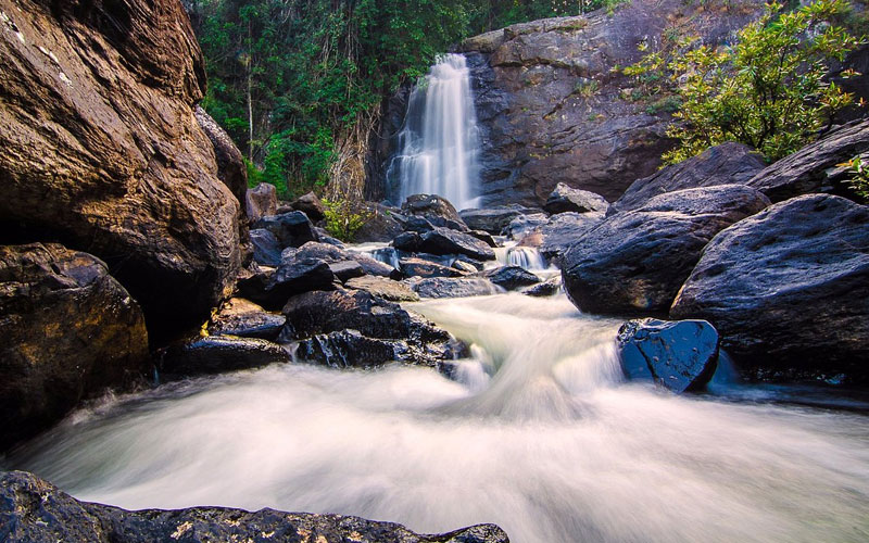 Wayanad