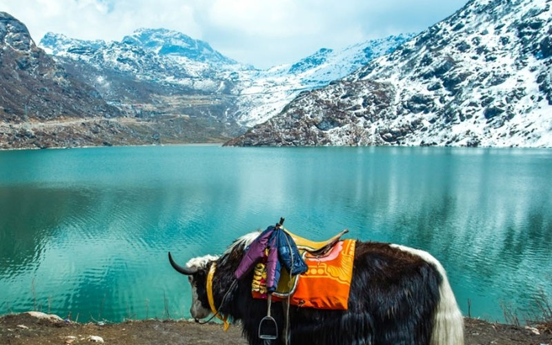 Gangtok